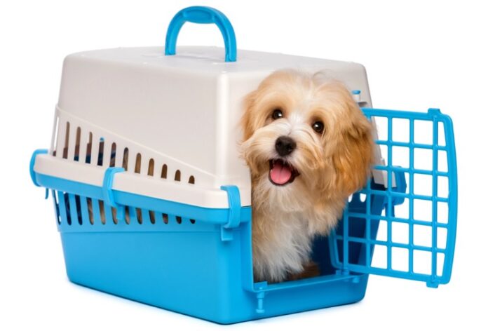 top reasons why a pet crate with cover is essential for your furry friend