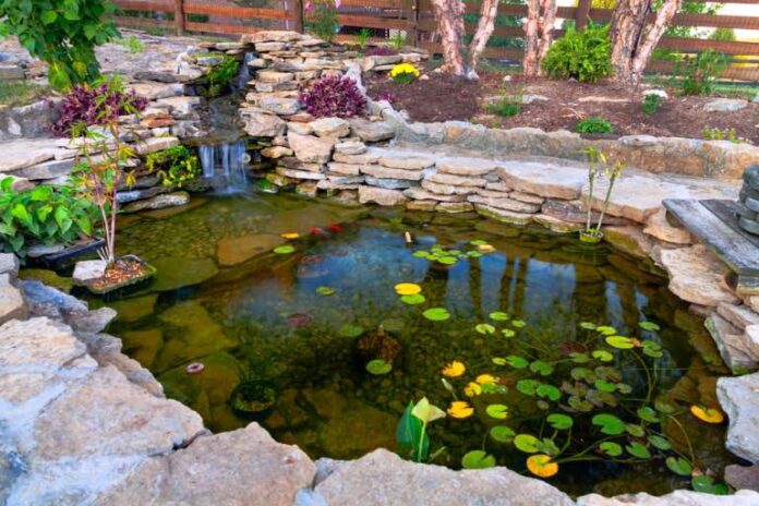 pick the perfect easypro pond product for your water garden now