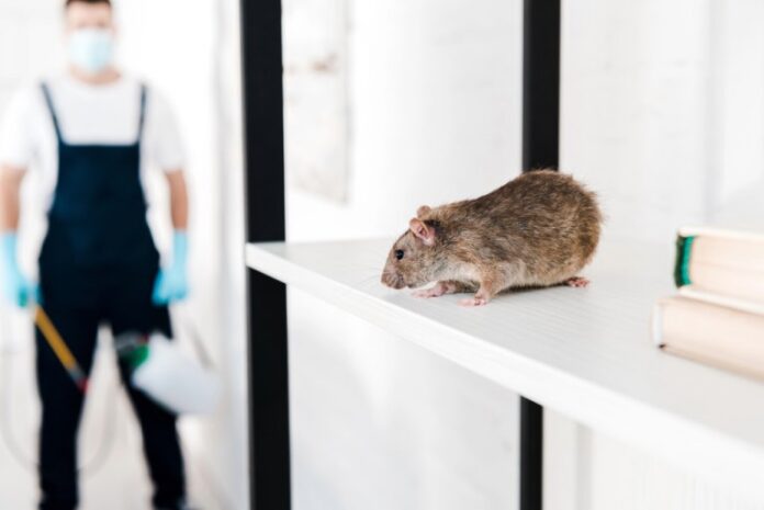 the top methods and technologies used in commercial rodent control