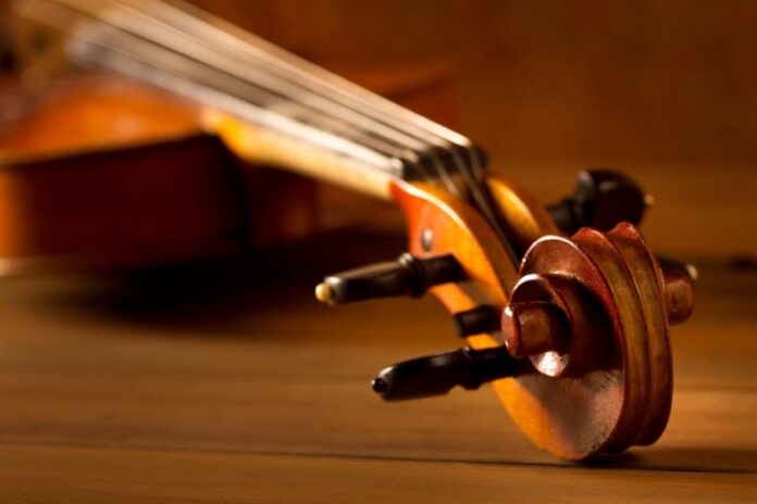 mastering viola 5 must haves for every aspiring musician