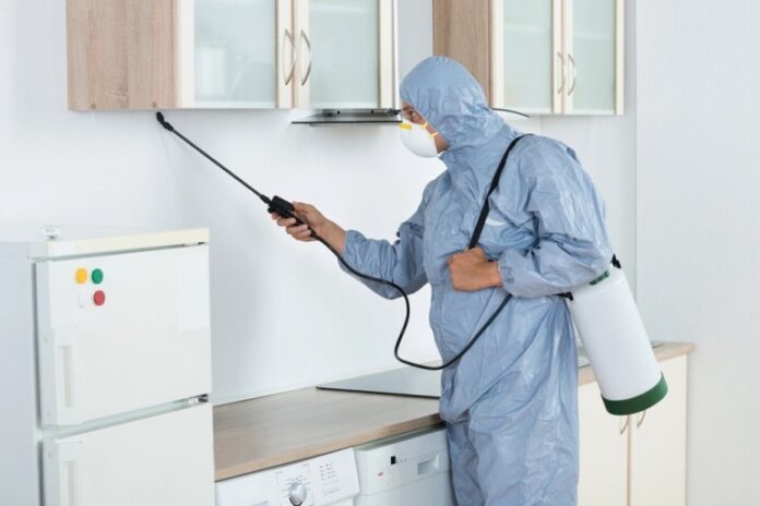 comprehensive pest defense for homes and businesses