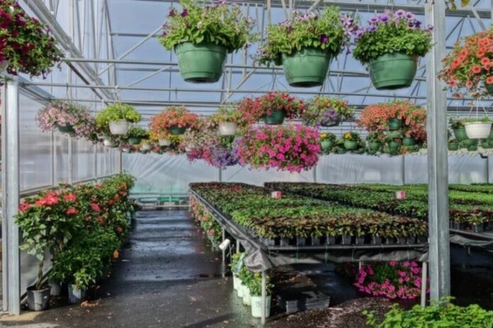 the essential guide to building and operating a commercial greenhouse