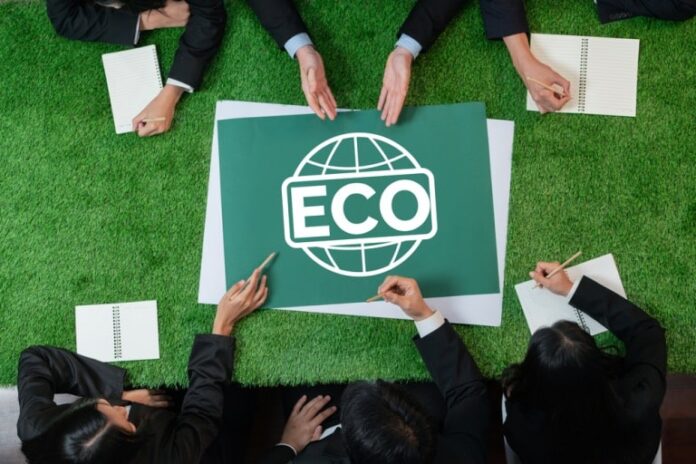 how businesses can embrace eco friendly practices for long term success